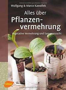 Alles über Pflanzenvermehrung: Vegetative Vermehrung und Samenanzucht