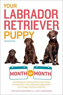 Your Labrador Retriever Puppy Month by Month, 2nd Edition: Everything you need to know at each stage to ensure your cute & playful puppy gr
