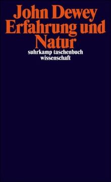 Erfahrung und Natur (suhrkamp taschenbuch wissenschaft)