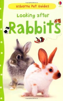 Looking After Rabbits (Pet Guides)