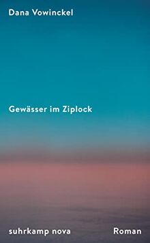 Gewässer im Ziplock: Roman | Ein Sommer zwischen Berlin, Chicago und Jerusalem | Ein mitreißendes, Kontinente umspannendes Porträt jüdischen Lebens heute von Vowinckel, Dana | Buch | Zustand sehr gut