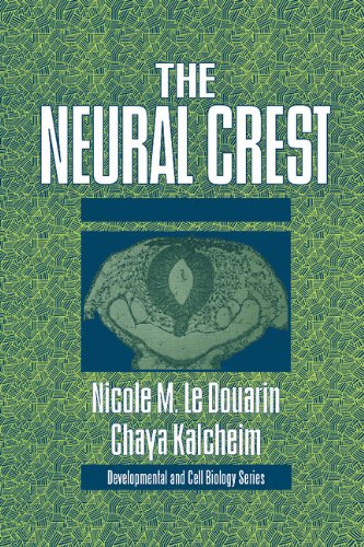 The Neural Crest (Developmental and Cell Biology Series, Band 36)