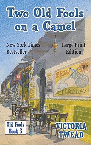 Two Old Fools on a Camel - LARGE PRINT: From Spain to Bahrain and back again (Old Fools Large Print, Band 3)