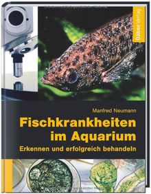 Fischkrankheiten im Aquarium: Erkennen und erfolgreich behandeln