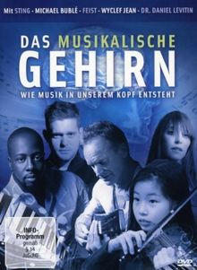 Das musikalische Gehirn - Wie Musik in unserem Kopf entsteht