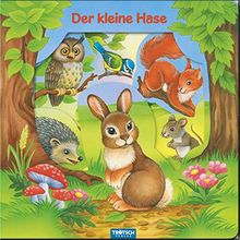 Trötsch Oster Fensterbuch Hase