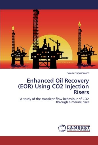 Enhanced Oil Recovery (EOR) Using CO2 Injection Risers: A study of the transient flow behaviour of CO2 through a marine riser