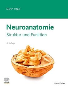 Neuroanatomie: Struktur und Funktion