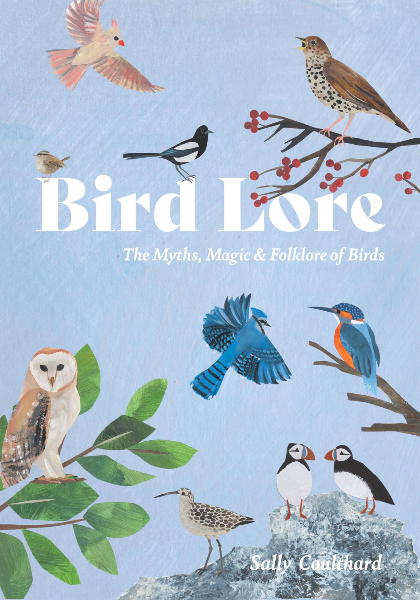 Sally Coulthard Bird Lore, The Myths, Folklore And Meaning Of Birds