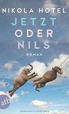 Jetzt oder Nils: Roman