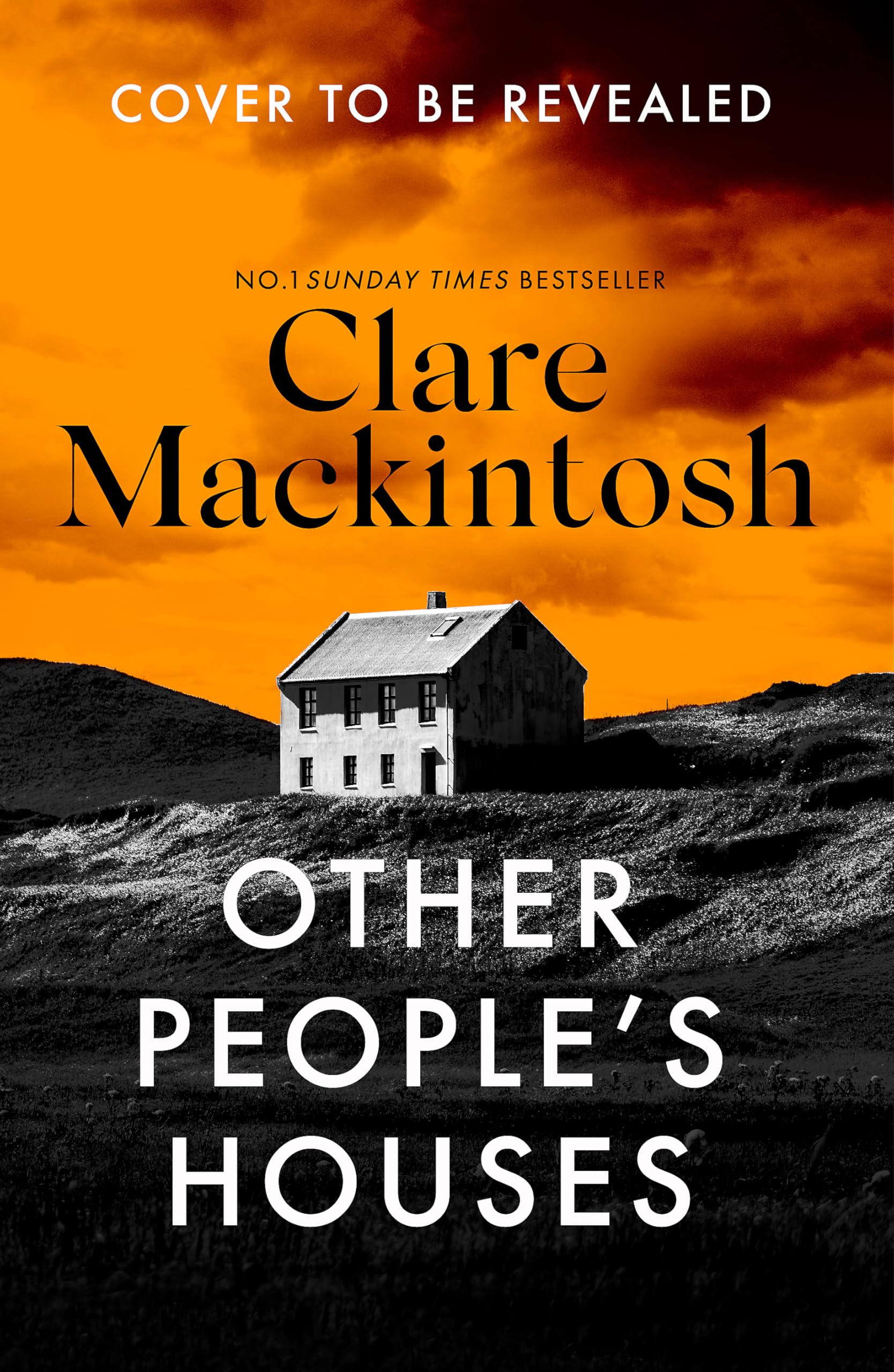 Other People's Houses: The gripping, twisty new thriller (DC Morgan)