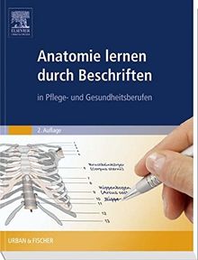 Anatomie lernen durch Beschriften: in Pflege- und Gesundheitsberufen