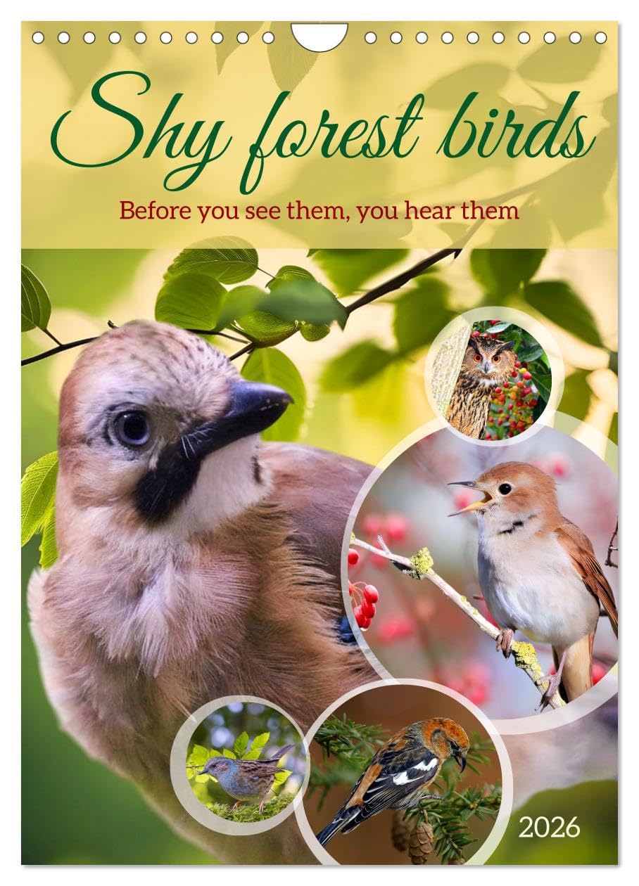 Shy forest birds (Wall Calendar 2026 DIN A4 portrait), CALVENDO 12 Month Wall Calendar: Before you see them, you hear them