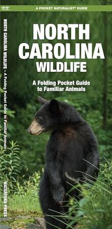 Maine Wildlife: A Folding Pocket Guide to Familiar Species: A Folding Pocket Guide to Familiar Animals (Pocket Naturalist Guide)