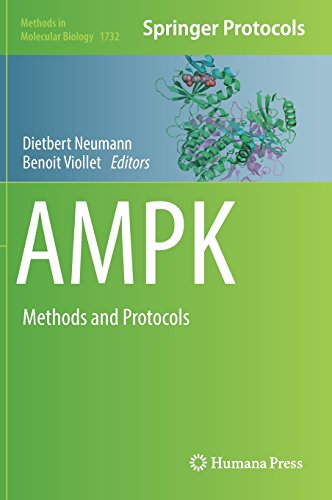 AMPK: Methods and Protocols (Methods in Molecular Biology, Band 1732)