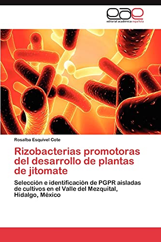 Rizobacterias promotoras del desarrollo de plantas de jitomate: Selección e identificación de PGPR aisladas de cultivos en el Valle del Mezquital, Hidalgo, México