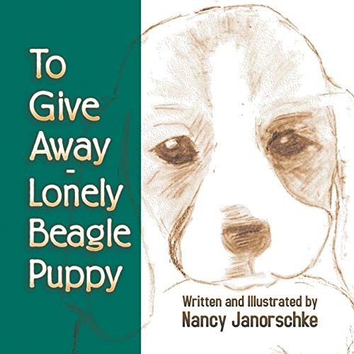 To Give Away - Lonely Beagle Puppy