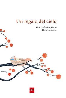 Un regalo del cielo (Álbumes ilustrados)