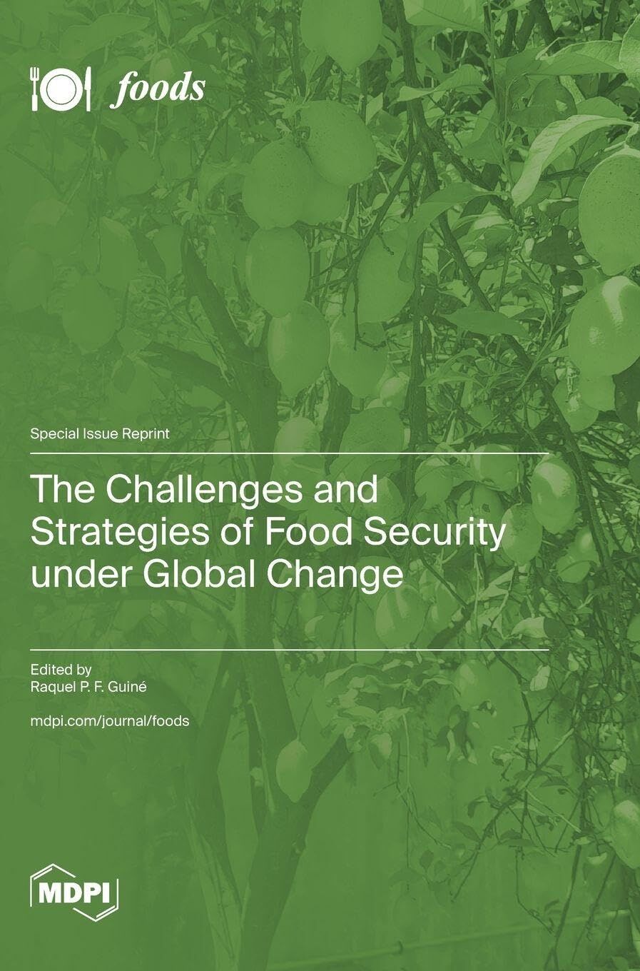 The Challenges and Strategies of Food Security under Global Change