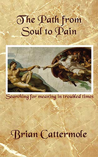 The Path from Soul to Pain: Searching for meaning in troubled times