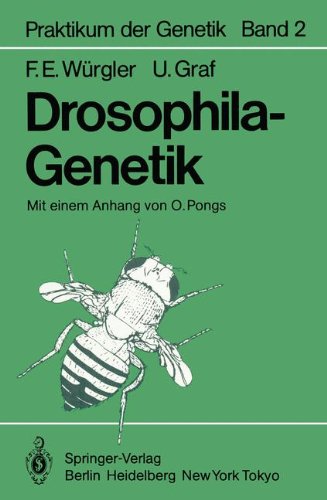 Drosophila-Genetik (Praktikum der Genetik)