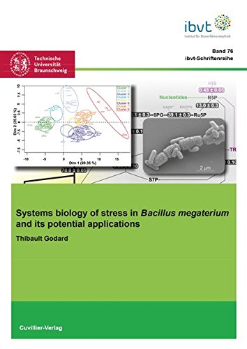 Systems biology of stress in Bacillus megaterium and its potential applications (Schriftenreihe des Institutes für Bioverfahrenstechnik der Technischen Universität Braunschweig)