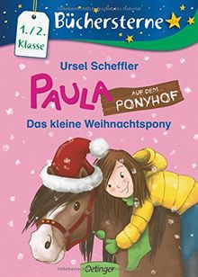 Paula auf dem Ponyhof. Das kleine Weihnachtspony (Büchersterne)