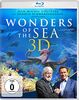 Wonders of the Sea (inkl. Blu-ray 2D)