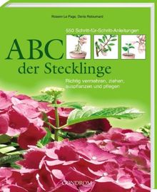 ABC der Stecklinge: Richtig vermehren, ziehen, auspflanzen und pflegen