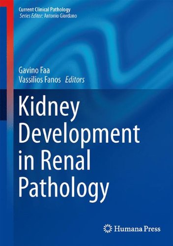 Kidney Development in Renal Pathology (Current Clinical Pathology)