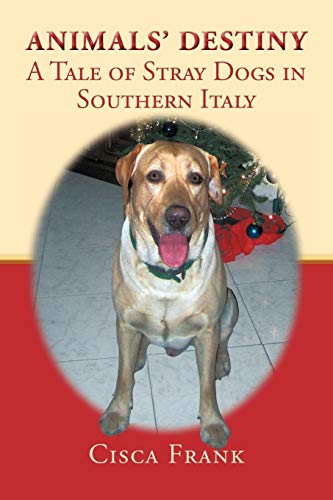 Animals' Destiny: A Tale of Stray Dogs in Southern Italy