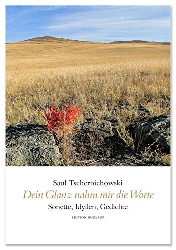 Dein Glanz nahm mir die Worte: Alle drei Bände im Set
