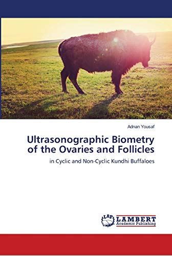 Ultrasonographic Biometry of the Ovaries and Follicles: in Cyclic and Non-Cyclic Kundhi Buffaloes