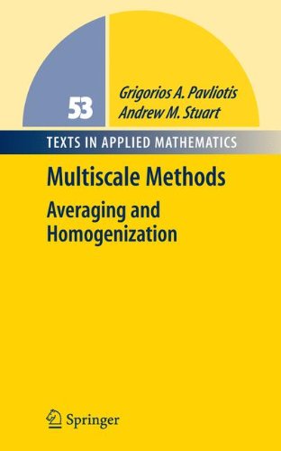 Multiscale Methods: Averaging and Homogenization (Texts in Applied Mathematics, Band 53)