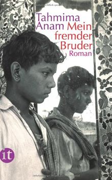 Mein fremder Bruder: Roman (insel taschenbuch)