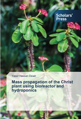 Mass propagation of the Christ plant using bioreactor and hydroponics