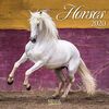 Horses 2022: Broschürenkalender mit Ferienterminen. Pferde und Ponys. 30 x 30 cm