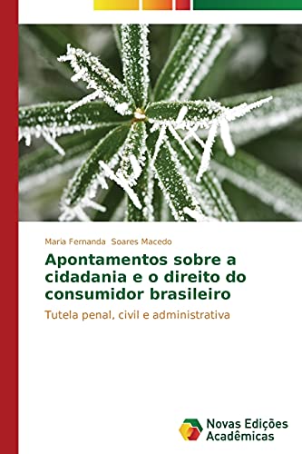 Apontamentos sobre a cidadania e o direito do consumidor brasileiro: Tutela penal, civil e administrativa