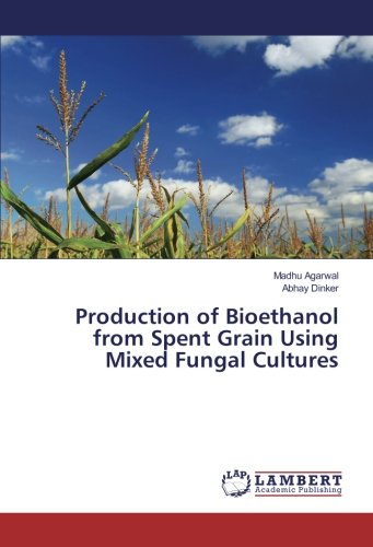 Production of Bioethanol from Spent Grain Using Mixed Fungal Cultures