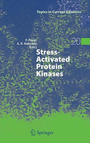 Stress-Activated Protein Kinases (Topics in Current Genetics)