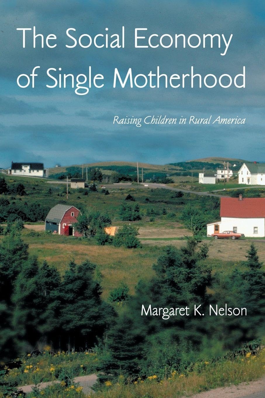 The Social Economy of Single Motherhood: Raising Children in Rural America (Perspectives on Gender)