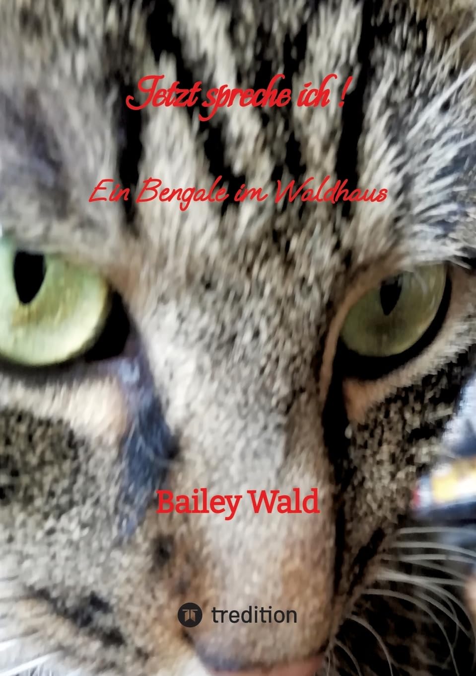 Jetzt spreche ich ! FIV Kater Bailey berichtet aus seinen Leben: Ein Bengale im Waldhaus