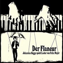Der Flaneur (Johannes Bigge Spielt Lieder Von Feli