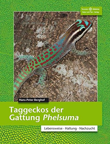 Taggeckos der Gattung Phelsuma - Hans P Berghof Kartoniert (TB)