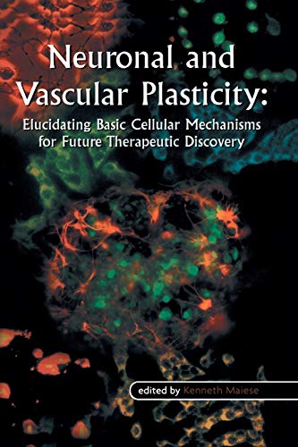 Neuronal and Vascular Plasticity: Elucidating Basic Cellular Mechanisms for Future Therapeutic Discovery