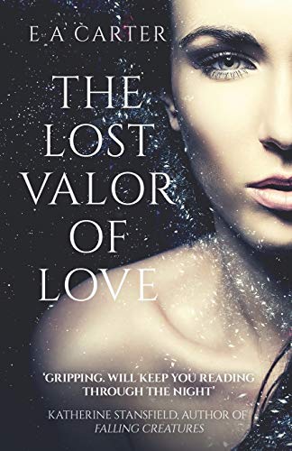 The Lost Valor of Love (Transcendence, Band 1)