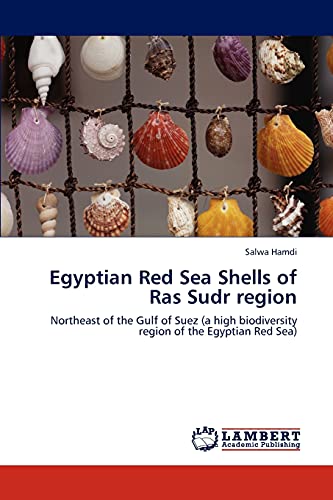 Egyptian Red Sea Shells of Ras Sudr region: Northeast of the Gulf of Suez (a high biodiversity region of the Egyptian Red Sea)