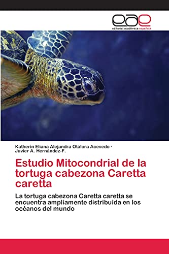 Estudio Mitocondrial de la tortuga cabezona Caretta caretta: La tortuga cabezona Caretta caretta se encuentra ampliamente distribuida en los océanos del mundo