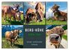 Berg-Kühe, Natur pur - unser schönster Urlaub (Wandkalender 2023 DIN A3 quer), Calvendo Monatskalender