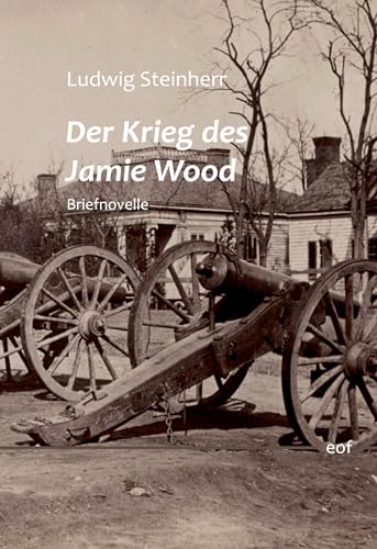 Der Krieg des Jamie Wood: Briefnovelle (edition offenes feld)